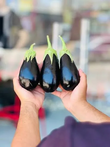 باذنجال