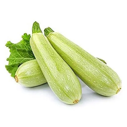 كوسه
