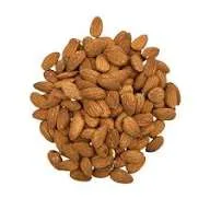 لوز استرالي