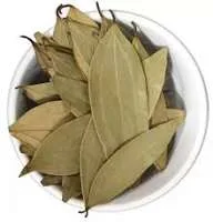 ورق غار